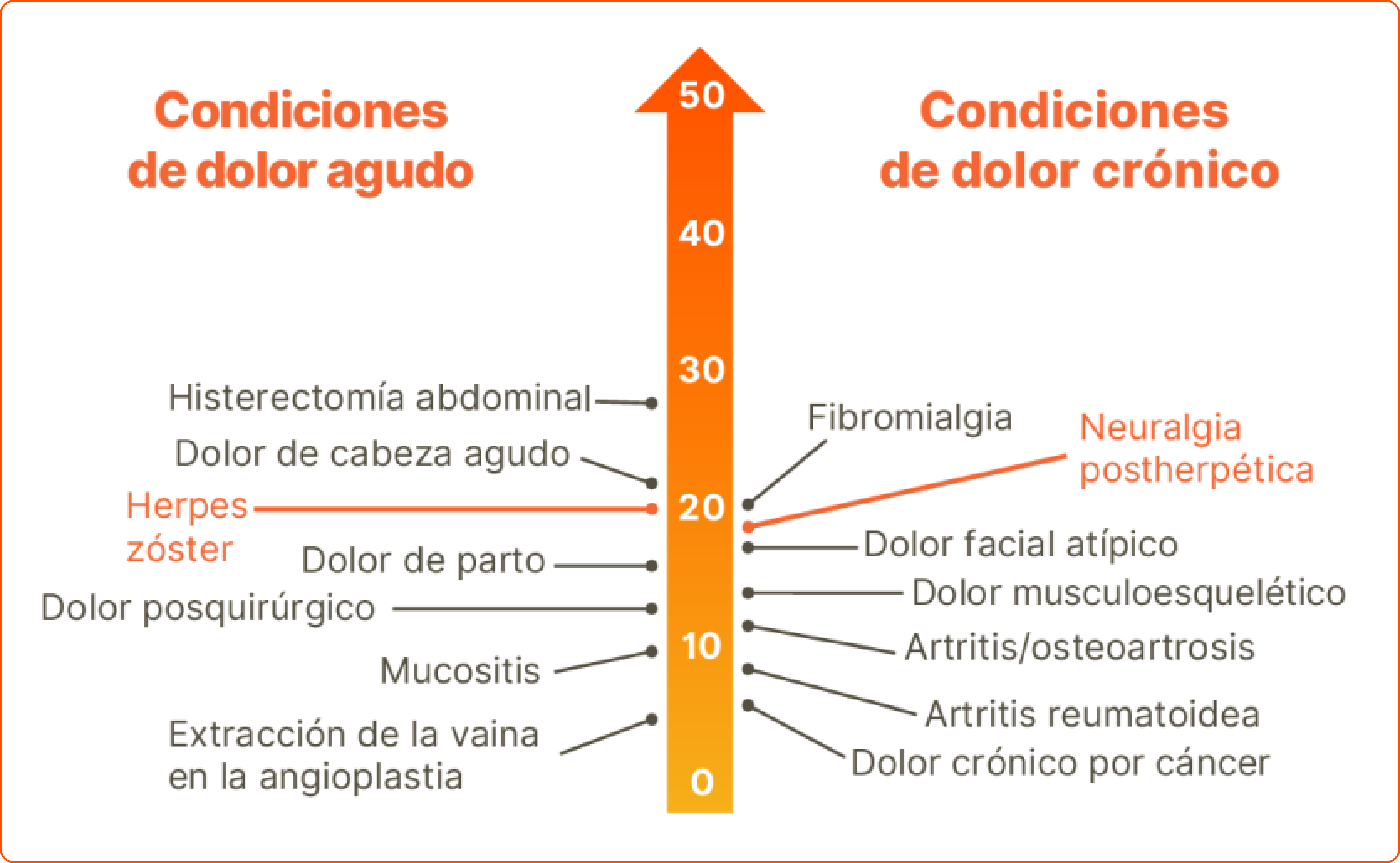 Descripción de la imagen